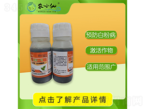 Pһ̖(ho)׷P-r(nng)С-fGԴ