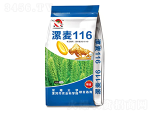 漯麥116（15kg）-小麥種子-愛農(nóng)華種業(yè)
