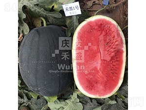 ̺1̖(ho)-ϷN-cl(f)ʢ