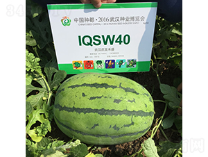 c3̖(ho)-ϷN-cl(f)ʢ