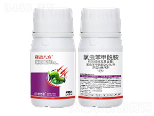 200ÿx(chng)-ҹ(zhn)˷-ׁ