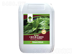 大量元素水溶肥料（高氮）360-0-50+HA-烏利婭-西拉澤姆