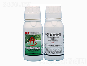 4%小檗堿硫酸鹽可溶液劑-晉德威