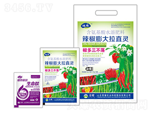 辣椒膨大拉直靈-進(jìn)萃-榮耀農(nóng)業(yè)