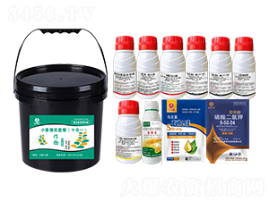 小麥便民套餐（十合一）-鄉(xiāng)村季風(fēng)