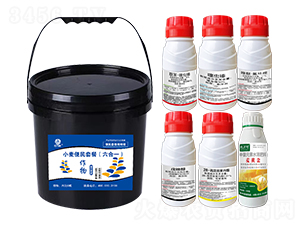 小麥便民套餐（六合一）-鄉(xiāng)村季風(fēng)