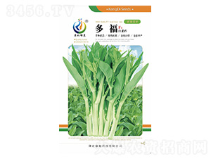 多福-菜薹種子-康地科技