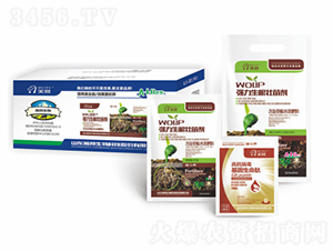 ~ʠI(yng)B(yng)ײA+B-嫰 