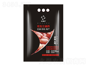 ˎ-(zhn)6̖(ho)-ţ(gu)H