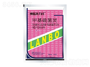 70%׻`WP-{(ln)-һ[Ƽ