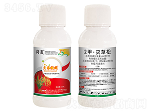 2ס-ؐr(nng)-ؐ˹r(nng)