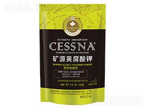 VԴS⛣΢w-ЅRr(nng)I(y)