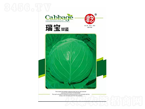 {(ln)N-{(ln)-Sr(nng)I(y)