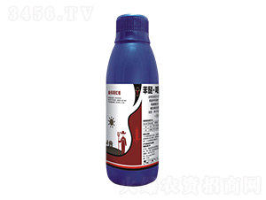 סx(chng)-(bio)tñ-ţ(gu)H