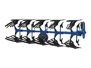 ؙC-(lin)r(nng)I(y)