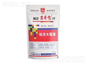 ľù-r(nng)2̖(ho)-r(nng)