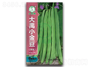 大禹小金豆-架豆種子-大禹種業(yè)