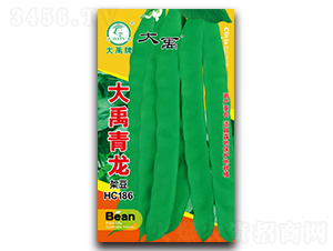 大禹青龍-架豆種子-大禹種業(yè)