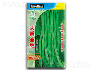 大禹全勝-架豆種子-大禹種業(yè)