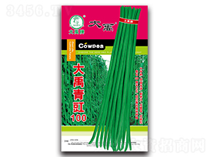 大禹青豇100-豇豆種子-大禹種業(yè)