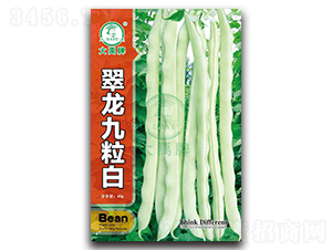 翠龍九粒白-豇豆種子-大禹種業(yè)