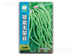 翠龍無架豆-架豆種子-大禹種業(yè)
