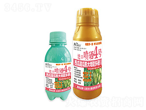 M(jn)ڇ4̖(ho)-r(nng)