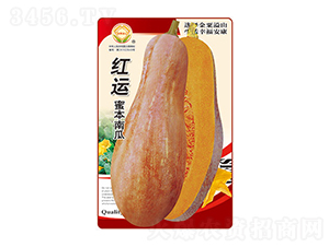 ϹϷN-t\۱Ϲ-̫NI(y)