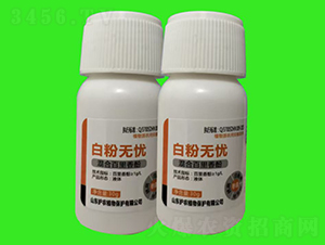 ׷۟on-VVˎ-o(h)r(nng)ֲ