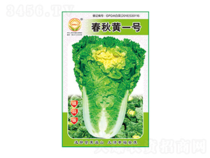 ײ˷N-Sһ̖Ʒ-̫NI(y)