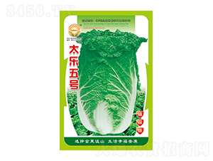 ײ˷N-̫̖Ʒ-̫NI(y)