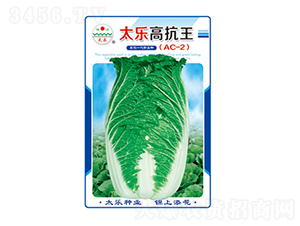 ײ˷N-̫߿AC2)-̫NI(y)