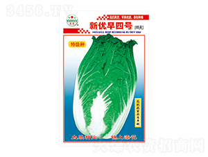 ײ˷N-(yu)̖-̫NI(y)