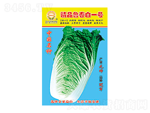 ײ˷N-Ʒһ̖-̫NI(y)