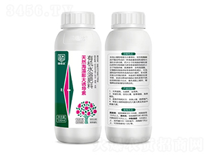 有機水溶肥料-天然海藻膨大誘導素-瑞倍達