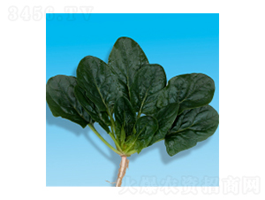 ˷N-孲5̖-A孷NI(y)