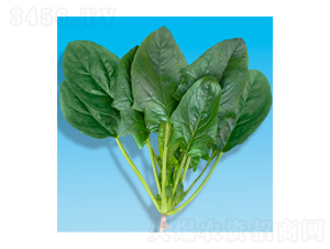 ˷N-孲207-A孷NI(y)