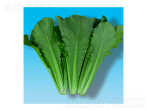 ˷N-Сײ319-A孷NI(y)