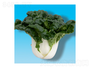 ๣˷N-̰ײ302-A孷NI(y)