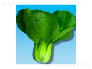 ๣˷N-399-A孷NI(y)