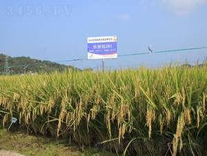 Aマ(yu)281-ˮN-𽡷NI(y)