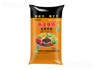 |(zh)ȫIB(yng)ͣ-d-d