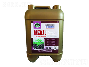 ΢-(dng)-³r(nng)I(y)