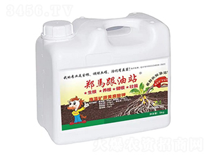 海藻礦源黃腐酸鉀-跟油站-千里馬