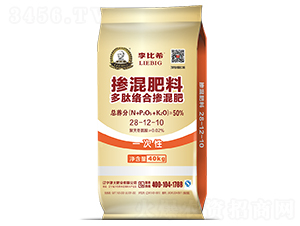 Ľjϓ28-12-10-ϣ-ʢԴ