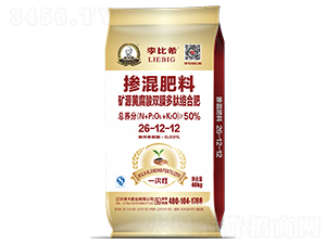 VԴSpĤĽjϷ26-12-12-ϣ-ʢԴ