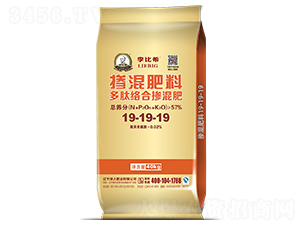 Ľjϓ19-19-19-ϣ-ʢԴ