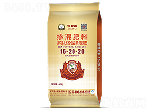 Ľjϓ16-20-20-ϣ-ʢԴ