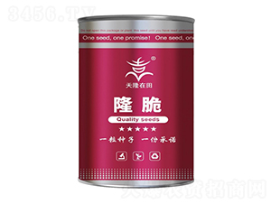 ¡ϵ-¡-¡r(nng)I(y)