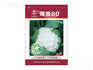 ¡ѩ80-¡-¡r(nng)I(y)